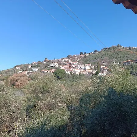 Aloni Maison * Saidona
