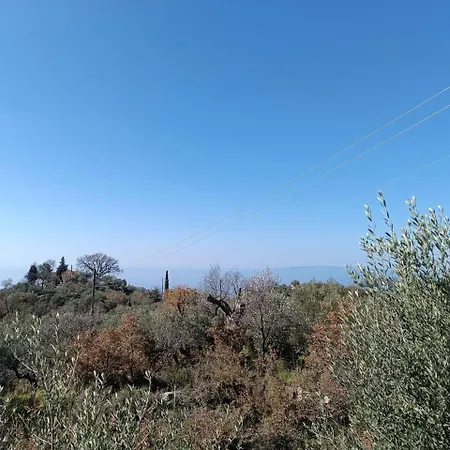 Holiday home Aloni Maison Saidona