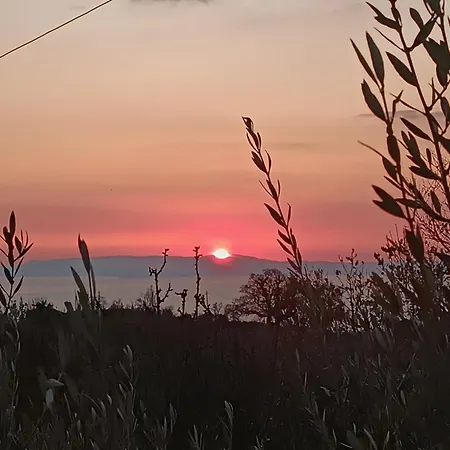 Aloni Maison Σπίτι διακοπών Saidona